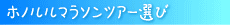 マラソンツアー選び
